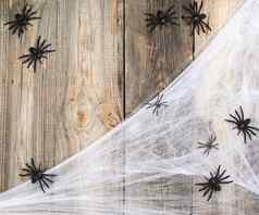 白色蜘蛛网络黑色的蜘蛛灰色的木背景