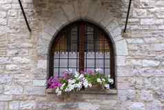 典型的意大利窗口关闭木百叶窗装饰新鲜的花