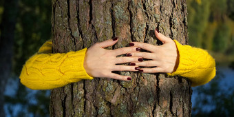 女人手拥抱松树树干秋天森林生态环境概念生态生活方式改变世界保护生活地球