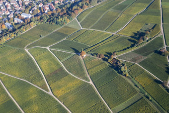 空中视图葡萄园南部德国