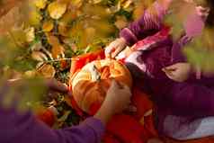 可爱的女孩秋天公园橙色颜色叶子黄色的南瓜