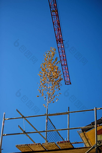 一流的德国传统建筑建设