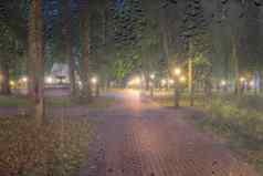 散焦晚上公园灯笼多雨的湿玻璃