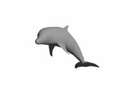 灰色的海豚跳跃水