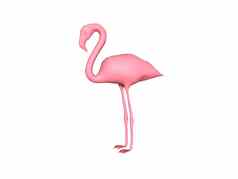 粉红色的火烈鸟长腿