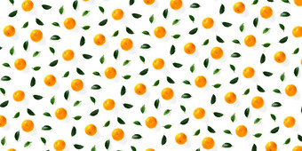 孤立的橘子柑橘类集合背景叶子橘子<strong>普通话</strong>橙色水果白色背景<strong>普通话</strong>橙色背景