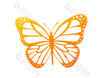 金胸针形式蝴蝶