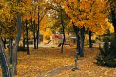 秋天阳光明媚的景观路公园操场上公园秋天树下降叶子阳光明媚的一天10月模板设计