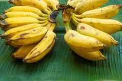 分支多汁的黄色的香蕉绿色香蕉叶成熟的多汁的水果