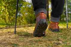 男人。徒步旅行森林秋天松森林但靴子走森林阳光明媚的一天徒步旅行概念户外生活方式