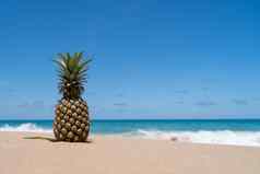 菠萝沙子海水飞溅蓝色的天空夏天概念