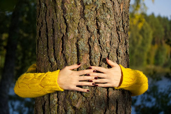 女人手拥抱松树树干秋天森林生态环境概念生态生活方式<strong>改变世界</strong>保护生活地球