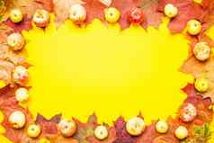 框架使红色的橙色秋天枫木叶子花园苹果明亮的黄色的背景布局
