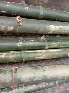 绿色彩色的竹子减少豌豆股票