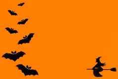 轮廓群蝙蝠女巫飞行扫帚使黑色的纸橙色背景万圣节问候模板复制空间平躺设计现成的模板