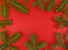 圣诞节平躺冷杉树分支机构框架红色的背景复制空间内部股票照片