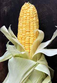 玉米玉米麦片谷物叶子甜蜜的玉米烹饪玉米结实的矮