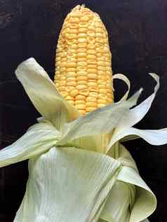 玉米玉米麦片谷物叶子甜蜜的玉米烹饪玉米结实的矮