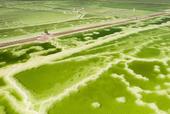 绿色生理<strong>盐水</strong>湖海滩展馆自然湖背景