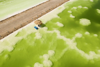 绿色生理<strong>盐水</strong>湖海滩伞自然湖背景