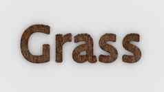 草词棕色（的）白色背景新鲜的草信孤立的插图草坪别墅高尔夫球草坪上花园花床灌木灌木渲染高质量模板横幅