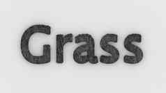 草词灰色的白色背景新鲜的草信孤立的插图草坪别墅高尔夫球草坪上花园花床灌木灌木渲染高质量模板横幅