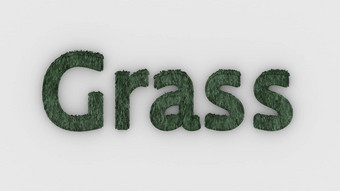 草词绿色白色背景新鲜的草信孤立的插图草坪别墅高尔夫球草坪上花园花床灌木灌木渲染高质量模板横幅