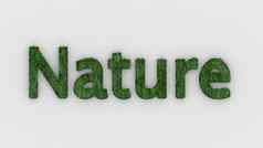 自然词绿色白色背景新鲜的草信孤立的插图自然动物妈妈。生态系统环境森林生物渲染高质量模板横幅