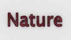 自然词红色的白色背景新鲜的草信孤立的插图自然动物妈妈。生态系统环境森林生物渲染高质量模板横幅