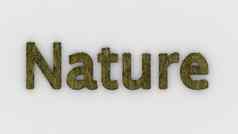 自然词黄色的白色背景新鲜的草信孤立的插图自然动物妈妈。生态系统环境森林生物渲染高质量模板横幅