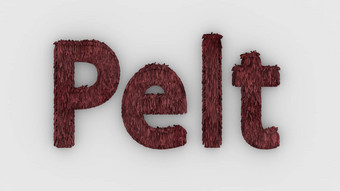 毛皮红色的词孤立的白色背景现实的渲染毛茸茸的信插图自然结合皮毛皮毛毛皮动物皮毛狗猫熊老虎狼野兽牲畜动物