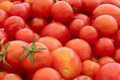 小大红色的樱桃西红柿背景自然意大利产品意大利面酱汁
