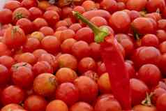 辣椒胡椒小大红色的樱桃西红柿背景自然意大利产品意大利面酱汁