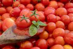 番茄酱汁木勺子樱桃西红柿罗勒背景西红柿孤立的照片意大利厨房意大利面酱汁