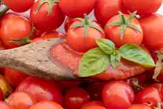 番茄酱汁木勺子樱桃西红柿罗勒背景西红柿孤立的照片意大利厨房意大利面酱汁