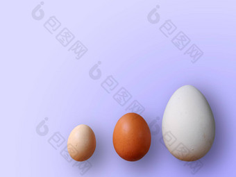 鸡蛋大小颜色紫罗兰色的背景高质量照片鸡鹌鹑鸵鸟鸡蛋彩色的鸡蛋复活节