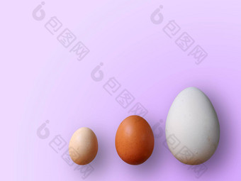 鸡蛋大小颜色紫色的背景高质量照片鸡鹌鹑鸵鸟鸡蛋彩色的鸡蛋复活节