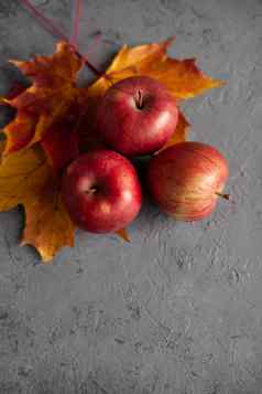 秋天玛叶子成熟的花园红色的苹果