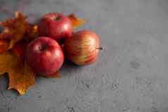 秋天玛叶子成熟的花园红色的苹果