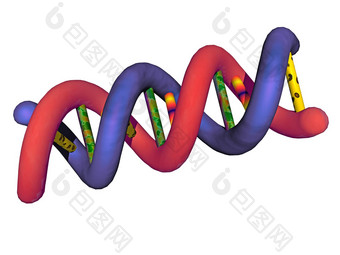 复杂的双螺旋遗传材料