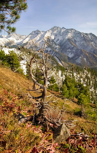 山sayans自然山萨彦岭植被山