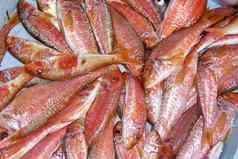 条纹红色的鲻鱼鱼市场西班牙