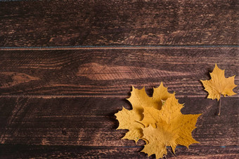 黄色的秋天枫木叶子谎言棕色（的）木背景秋天背景9月10月11月干秋天叶子叶秋天Copyspace平铺前视图开销
