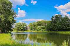 小池塘包围绿色植物清晰的阳光明媚的一天