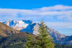 美丽的夏天景观神奇的高山通过高山白云石山脉意大利欧洲焦点