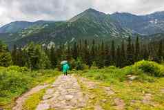 徒步旅行者绿色雨衣伞走塔特拉山山