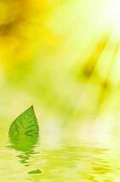 绿色叶子春天水生态自然生物能源后台