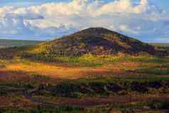 自然马加丹州地区明亮的低山苔原覆盖草色彩斑斓的树俄罗斯苔原
