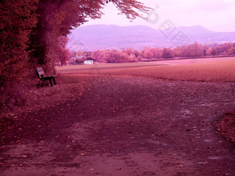 <strong>红外</strong>照片公园板凳上秋天斯瓦比亚的妄想德国