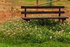 木板凳上包围植被花公园